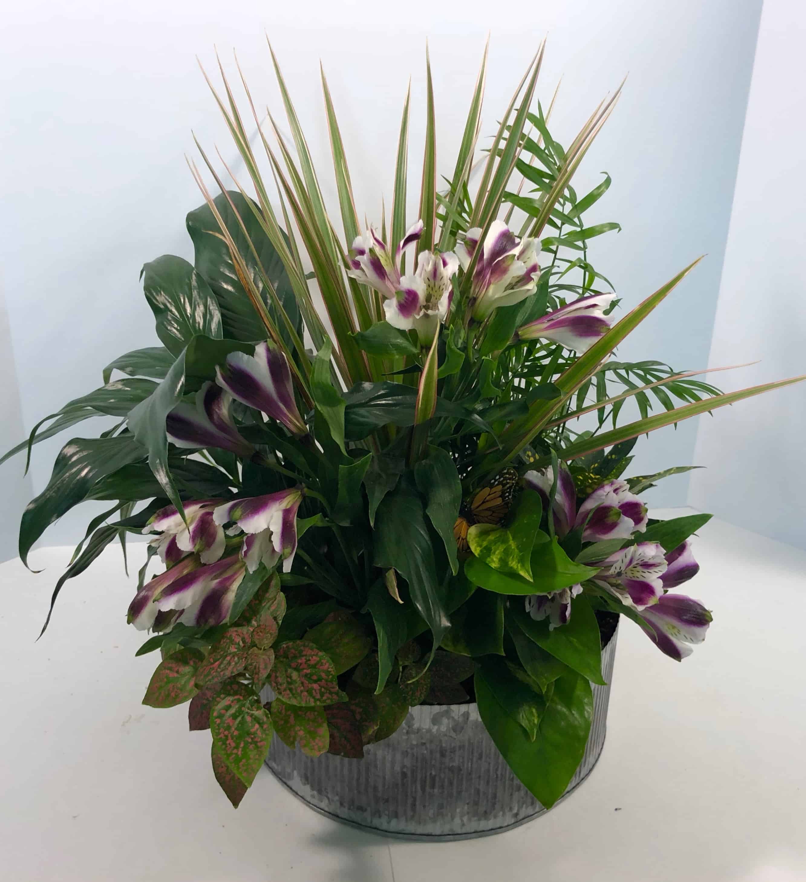 Dish Garden With Fresh Flowers Calumet Floral & Gifts