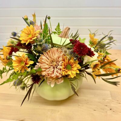 Fall Pumpkin in Sage